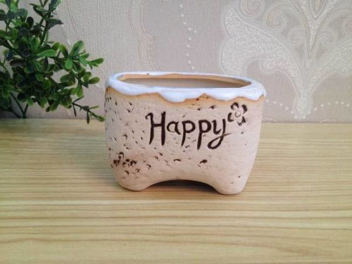 手工花盆种类大全与选购技巧解析