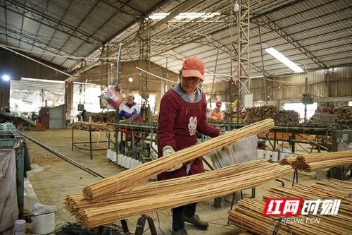 小竹子撬动大产业 日用杂品的绿色革新